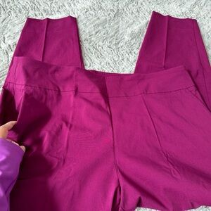 The Pioneer Woman Stretch Dress Pant Magenta Size XXL